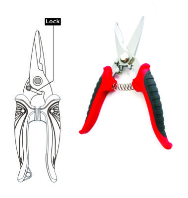 Electrician Numbers 0503325 B.Tech